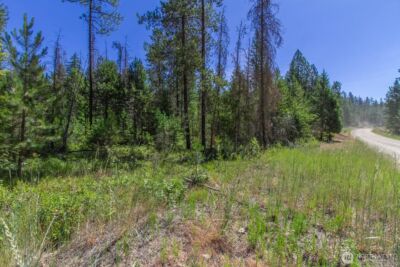 2443 Eagle Lambert Road , Chewelah, WA 99109 - Photo 22