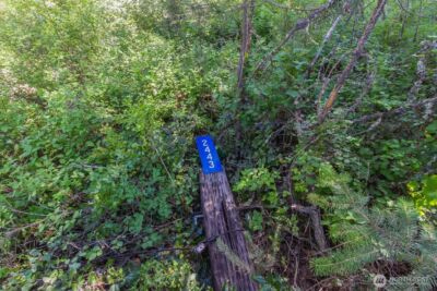 2443 Eagle Lambert Road , Chewelah, WA 99109 - Photo 24