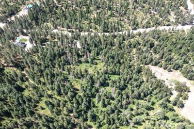 2443 Eagle Lambert Road , Chewelah, WA 99109 - Photo 3