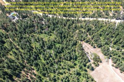 2443 Eagle Lambert Road , Chewelah, WA 99109 - Photo 4