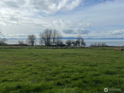 2202 Seabright Loop , Point Roberts, WA 98281 - Photo 4