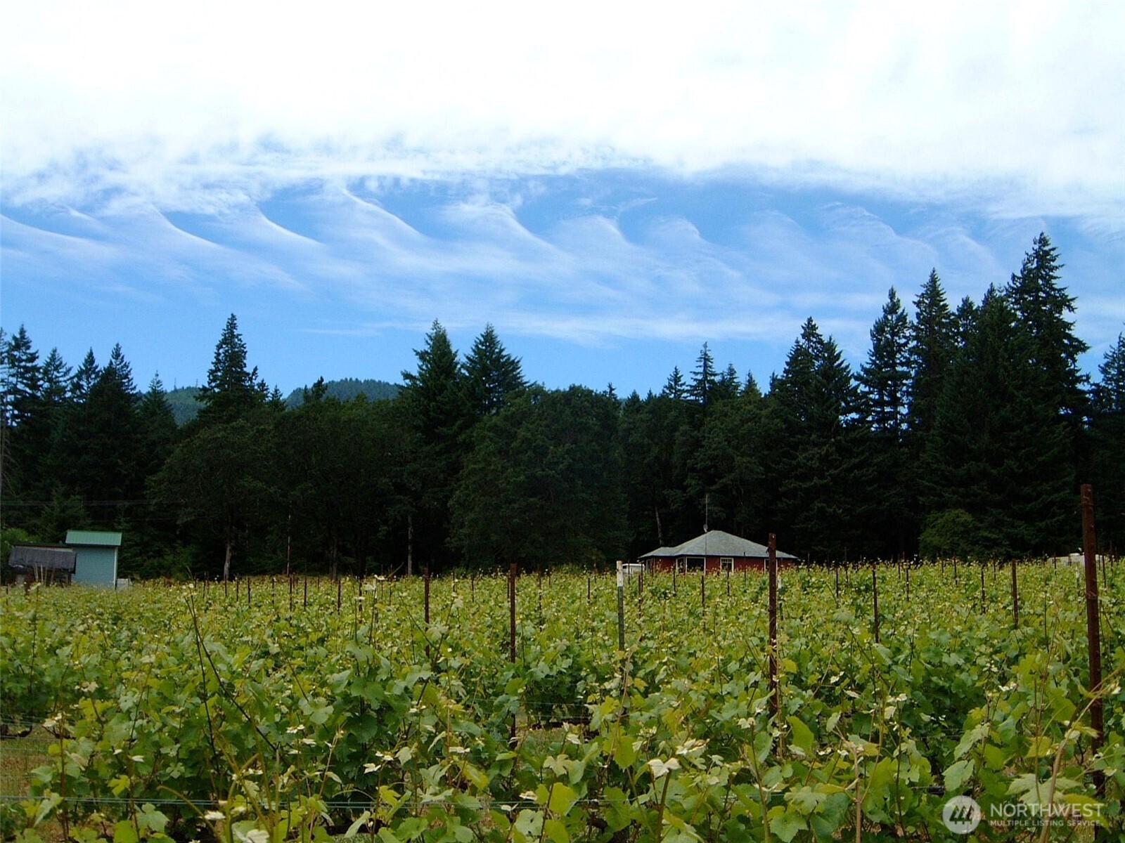 391 Newell Rd , Underwood, WA 98651