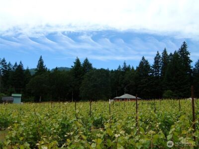 391 Newell Rd , Underwood, WA 98651 - Photo 14