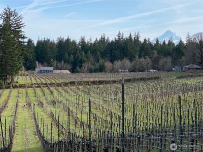 391 Newell Rd , Underwood, WA 98651 - Photo 16