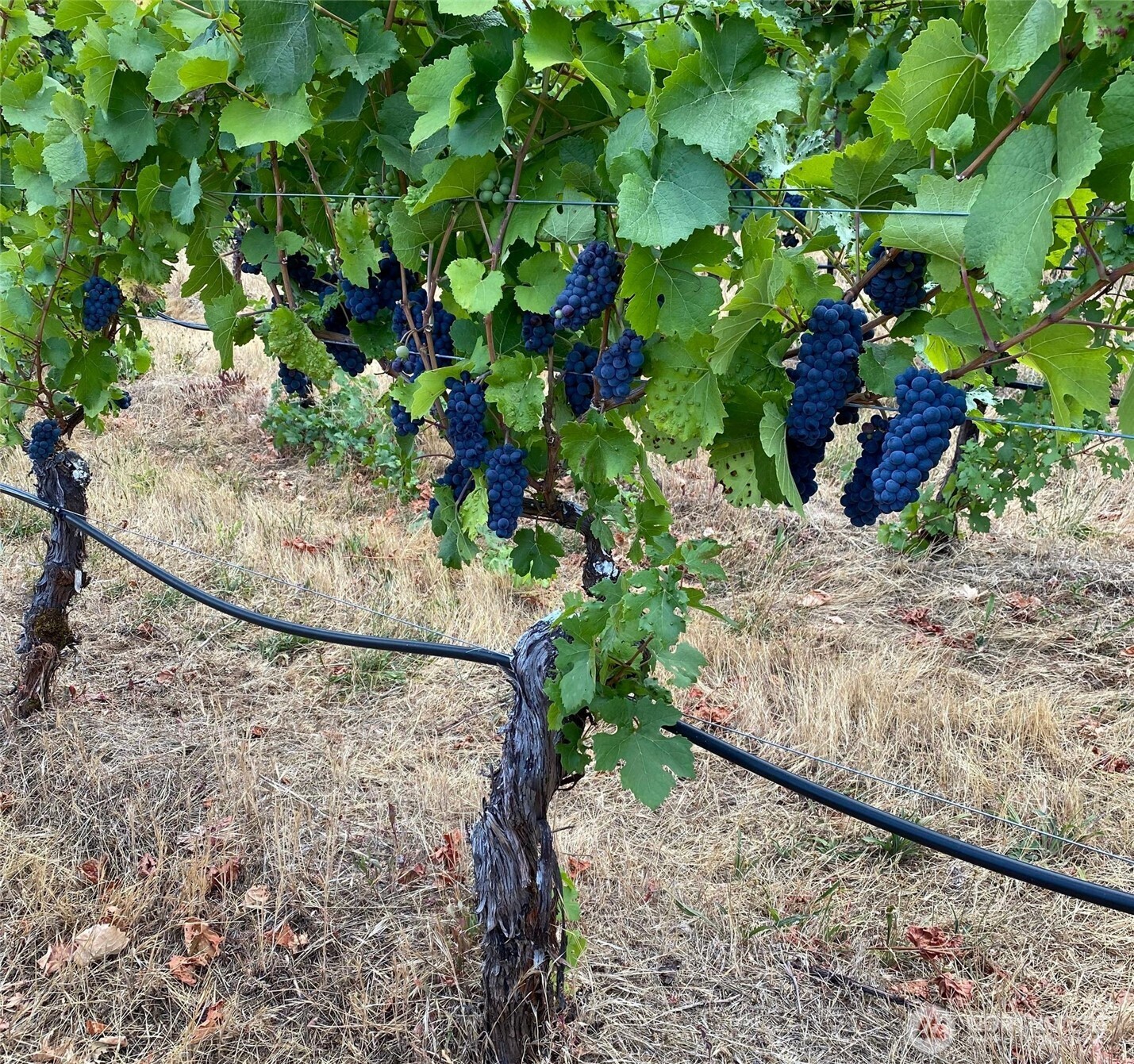 391 Newell Rd , Underwood, WA 98651