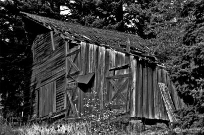 391 Newell Rd , Underwood, WA 98651 - Photo 18