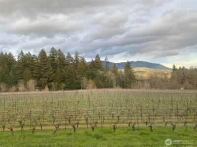 391 Newell Rd , Underwood, WA 98651 - Photo 20