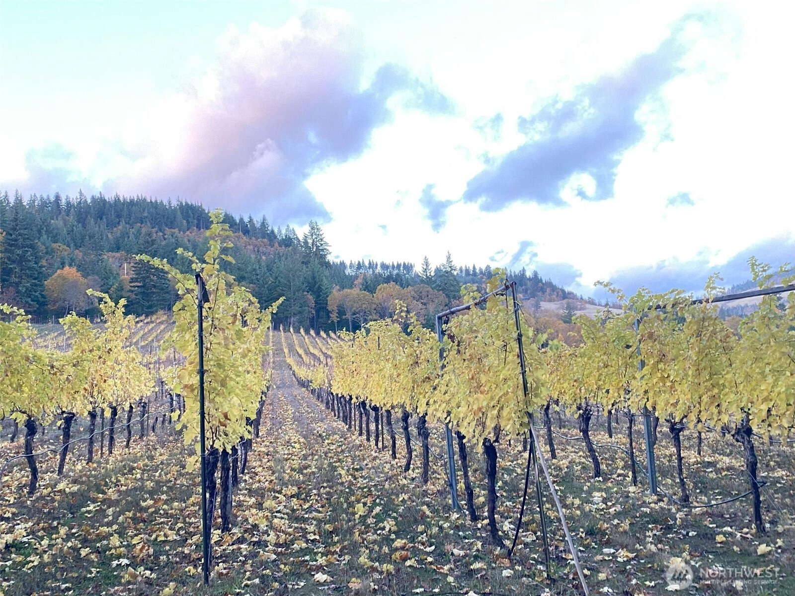 391 Newell Rd , Underwood, WA 98651