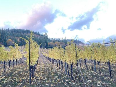 391 Newell Rd , Underwood, WA 98651 - Photo 21