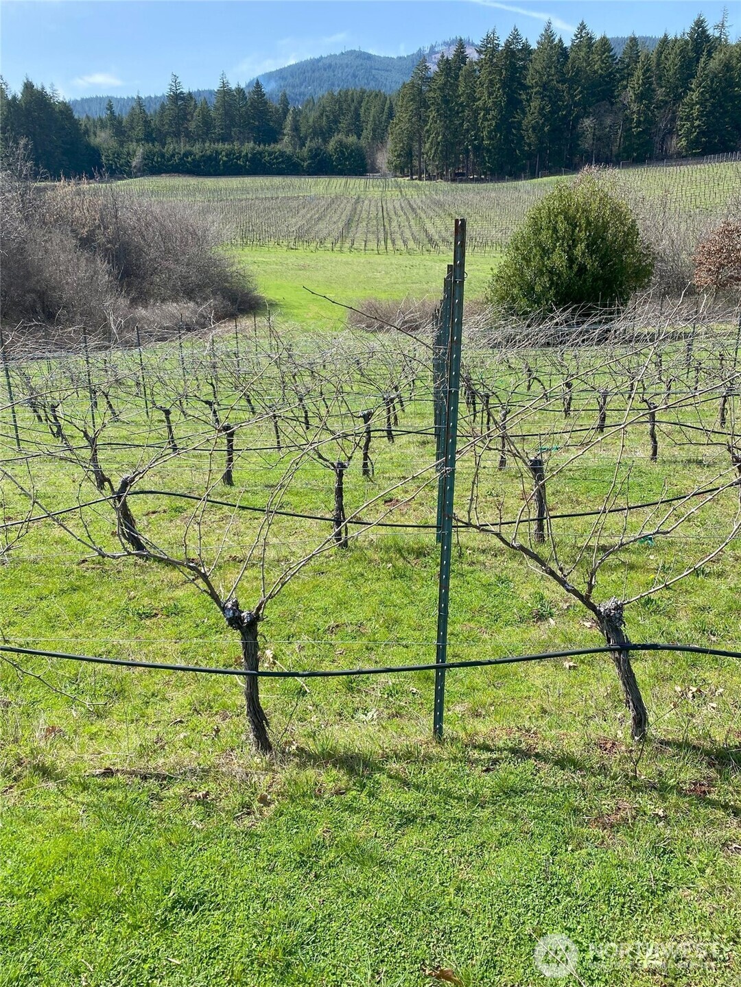 391 Newell Rd , Underwood, WA 98651