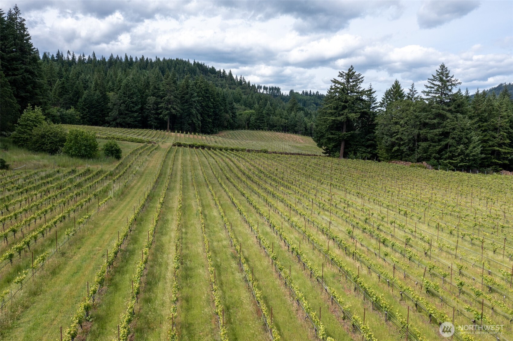 391 Newell Rd , Underwood, WA 98651