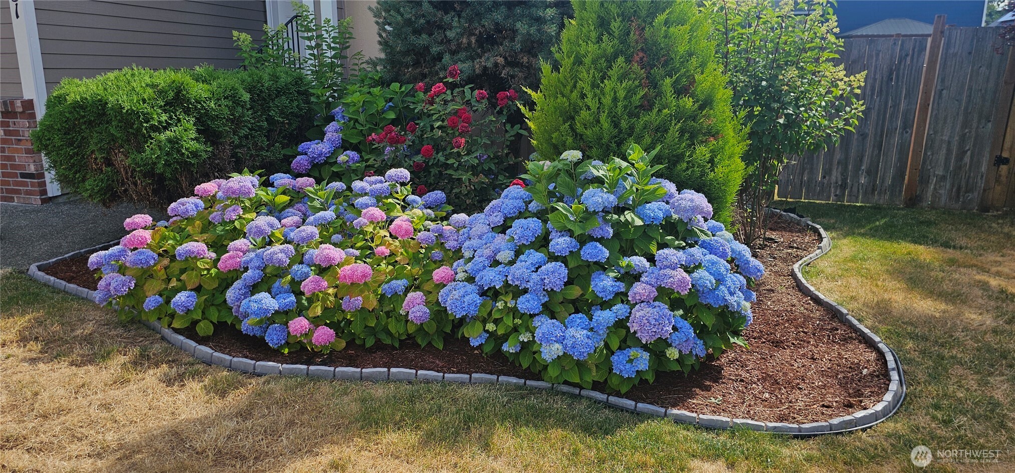 9131 Thea Rose Drive SE, Yelm, WA 98597