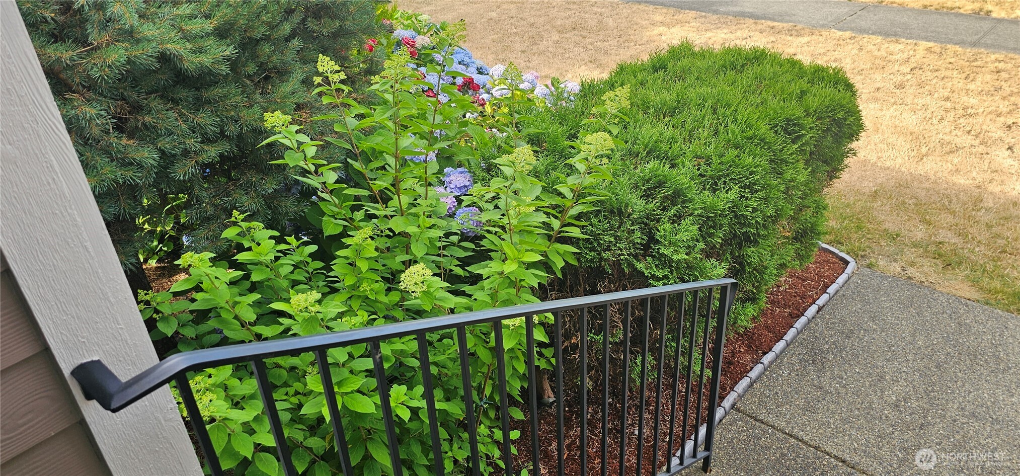 9131 Thea Rose Drive SE, Yelm, WA 98597