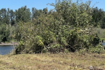 0 Evans Road , Toledo, WA 98591 - Photo 3