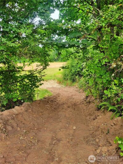 0 Evans Road , Toledo, WA 98591 - Photo 5