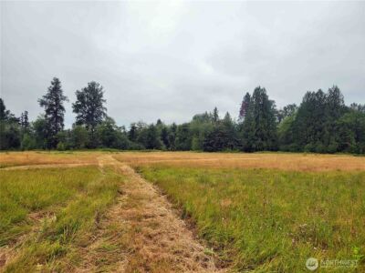 0 Evans Road , Toledo, WA 98591 - Photo 6