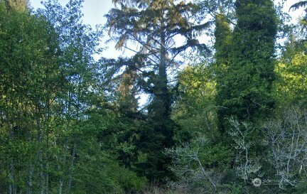 0 Cosgrove Street , Hoquiam, WA 98550