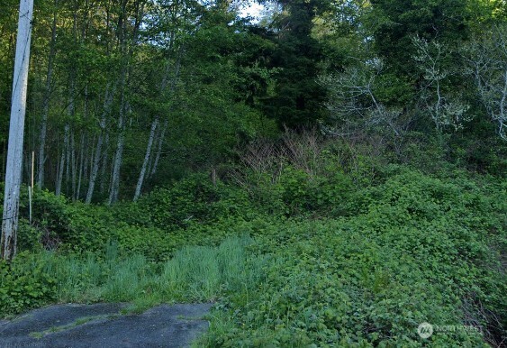 0 Cosgrove Street , Hoquiam, WA 98550