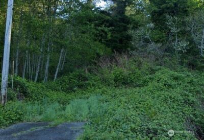 0 Cosgrove Street , Hoquiam, WA 98550 - Photo 2