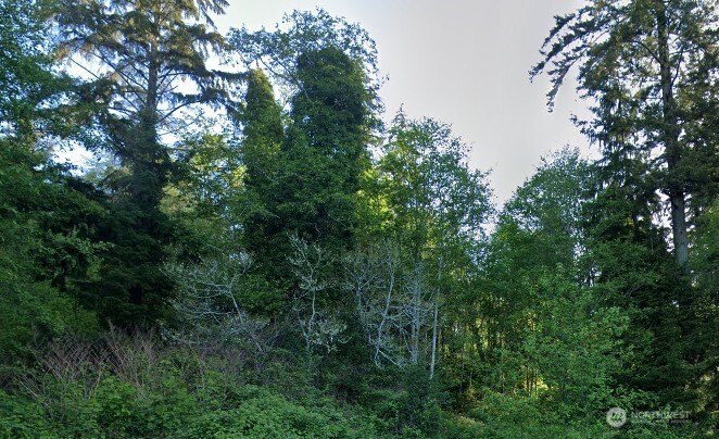 0 Cosgrove Street , Hoquiam, WA 98550