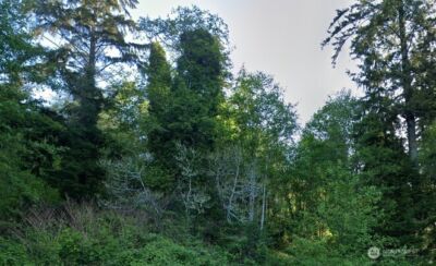 0 Cosgrove Street , Hoquiam, WA 98550 - Photo 5