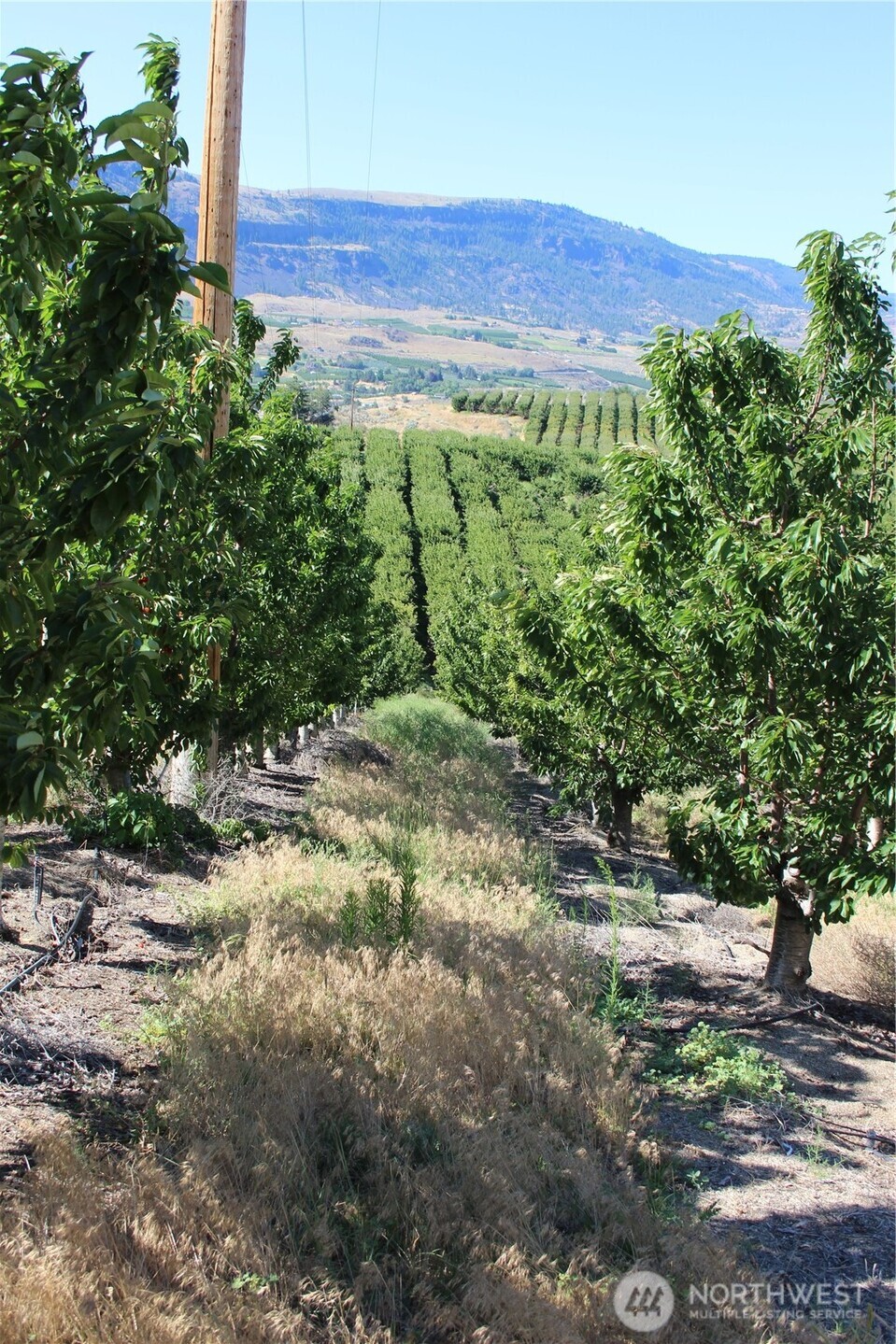 0 Leray Ranch Road , East Wenatchee, WA 98802