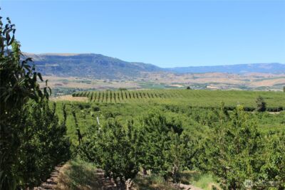 0 Leray Ranch Road , East Wenatchee, WA 98802 - Photo 25
