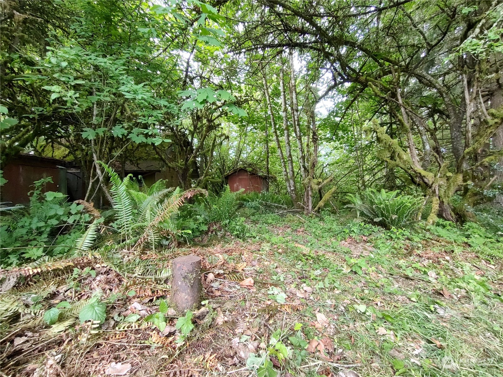 5819 NE 295th Street , La Center, WA 98629