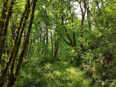 5819 NE 295th Street , La Center, WA 98629 - Photo 4