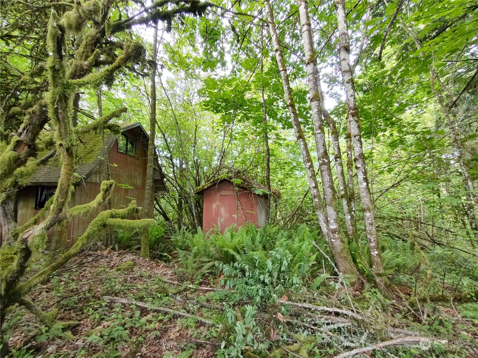 5819 NE 295th Street , La Center, WA 98629