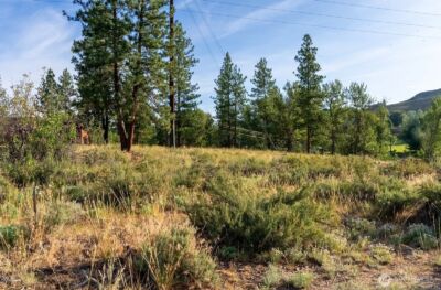 615 Pine Loop , Winthrop, WA 98862 - Photo 13