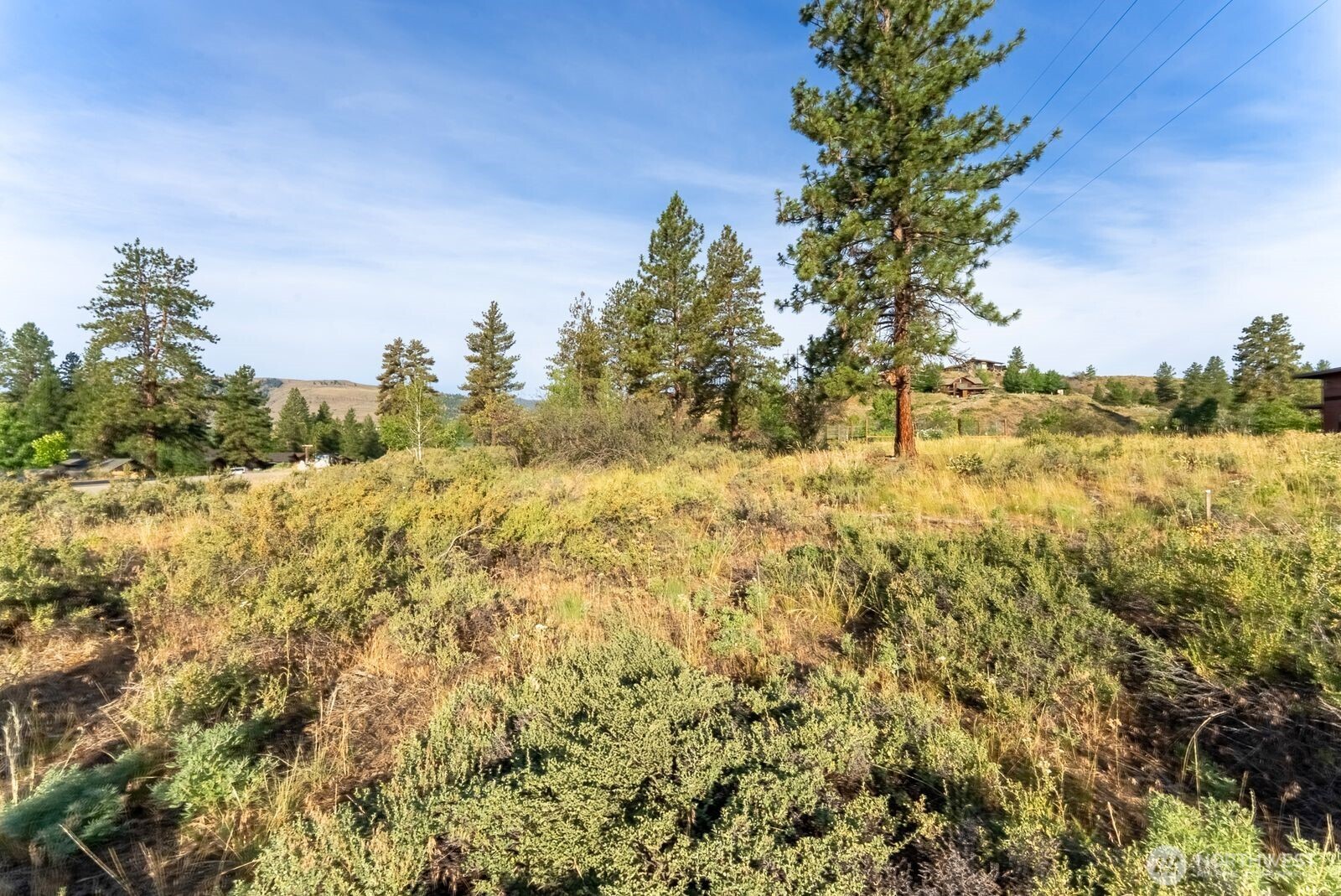 615 Pine Loop , Winthrop, WA 98862