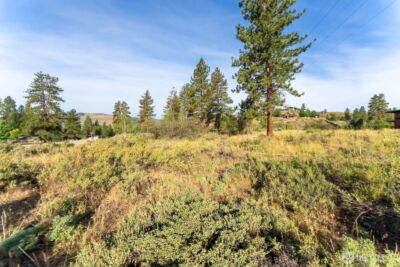 615 Pine Loop , Winthrop, WA 98862 - Photo 5