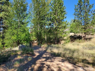 615 Pine Loop , Winthrop, WA 98862 - Photo 7