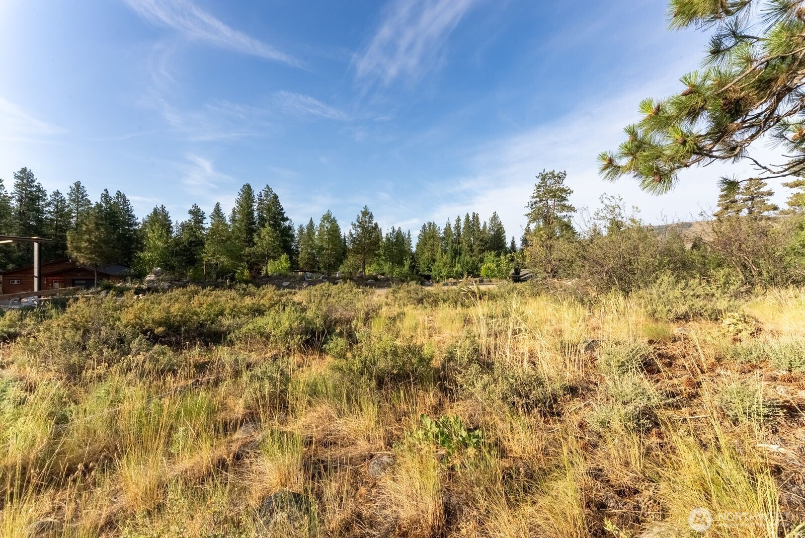 615 Pine Loop , Winthrop, WA 98862