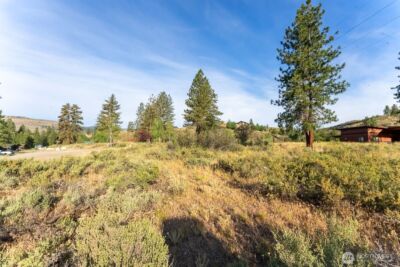 615 Pine Loop , Winthrop, WA 98862 - Photo 10