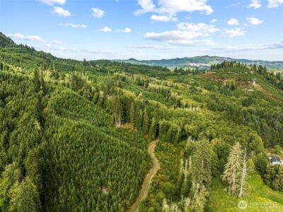 1 Lot A State Route 4 Highway , Skamokawa, WA 98647 - Photo 4