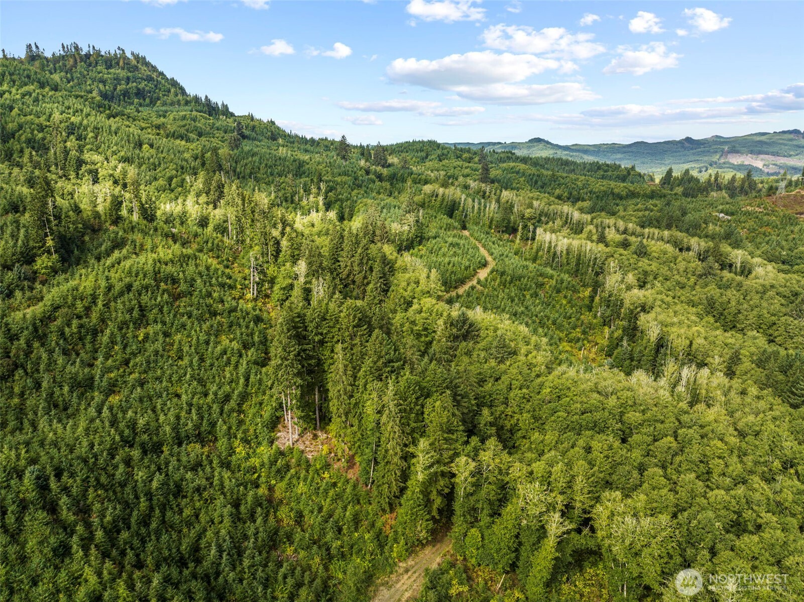 1 Lot A State Route 4 Highway , Skamokawa, WA 98647