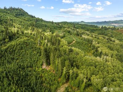 1 Lot A State Route 4 Highway , Skamokawa, WA 98647 - Photo 5