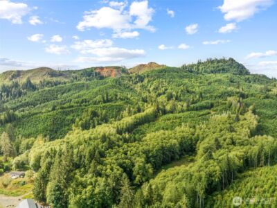 1 Lot A State Route 4 Highway , Skamokawa, WA 98647 - Photo 7