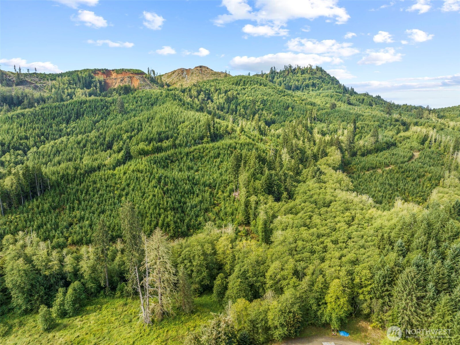 1 Lot A State Route 4 Highway , Skamokawa, WA 98647