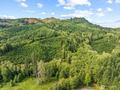 1 Lot A State Route 4 Highway , Skamokawa, WA 98647 - Photo 8