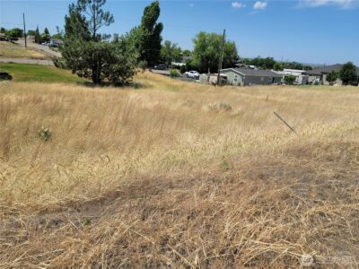 0 Parcel # 060797000 Washington Avenue S, Warden, WA 98857 - Photo 3