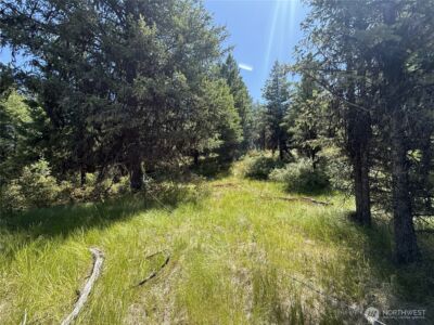 135 Slippery Hill Lane , Republic, WA 99166 - Photo 1