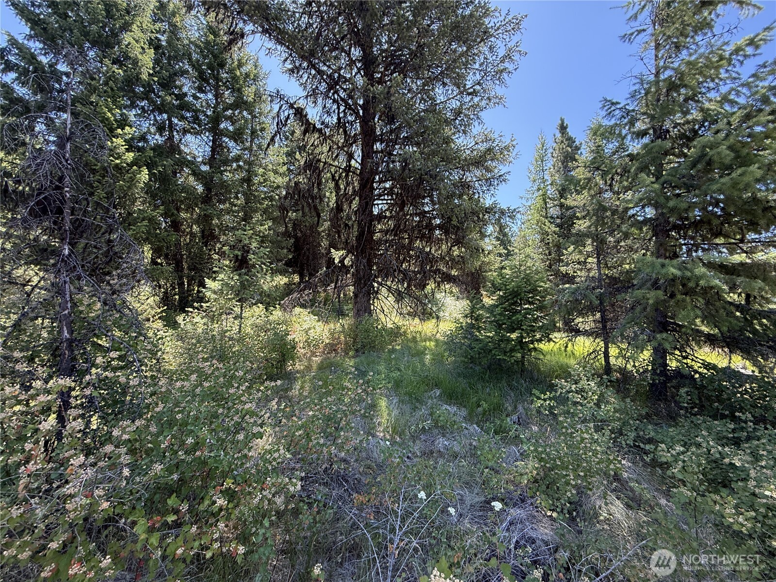 135 Slippery Hill Lane , Republic, WA 99166