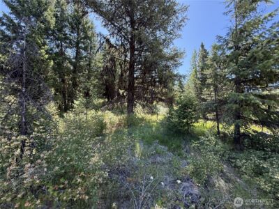 135 Slippery Hill Lane , Republic, WA 99166 - Photo 12