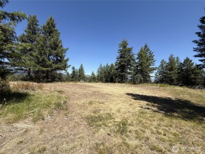 135 Slippery Hill Lane , Republic, WA 99166 - Photo 13