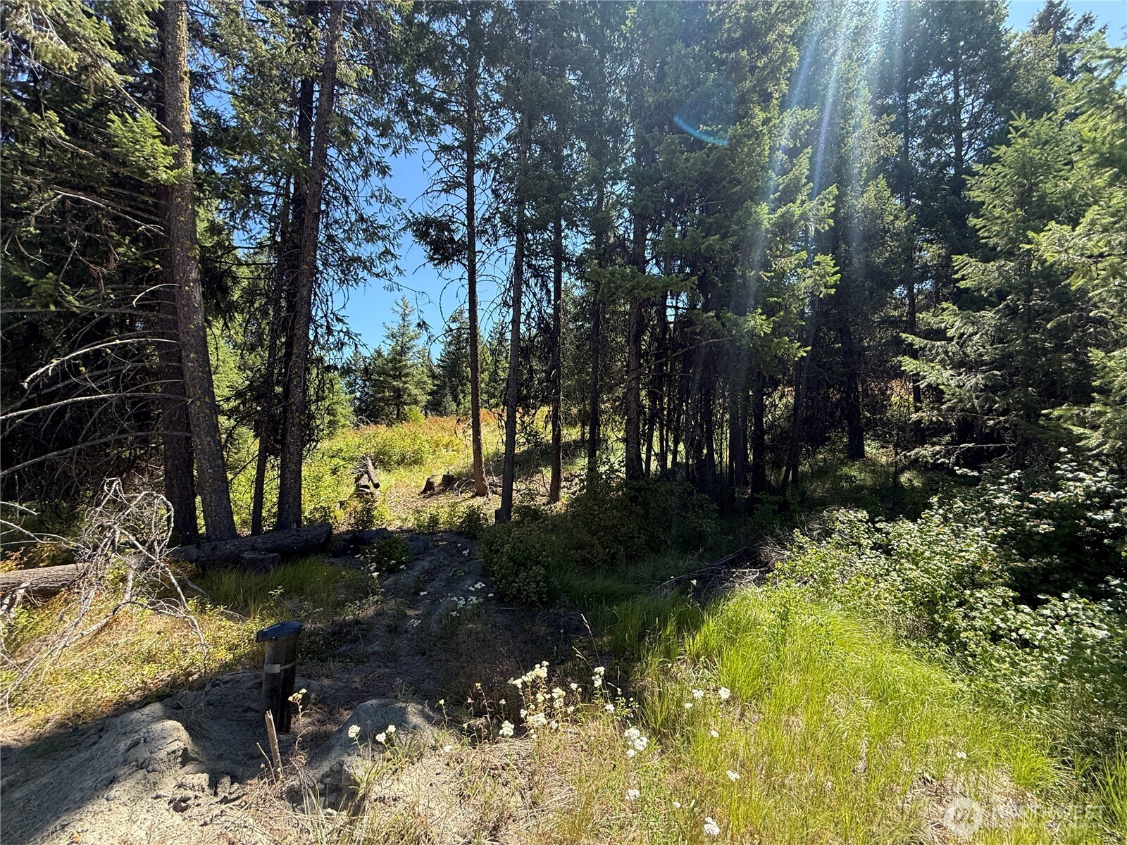 135 Slippery Hill Lane , Republic, WA 99166