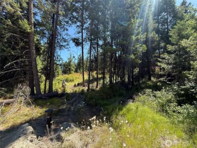 135 Slippery Hill Lane , Republic, WA 99166 - Photo 14