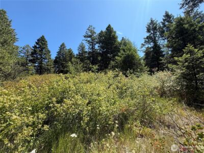 135 Slippery Hill Lane , Republic, WA 99166 - Photo 2